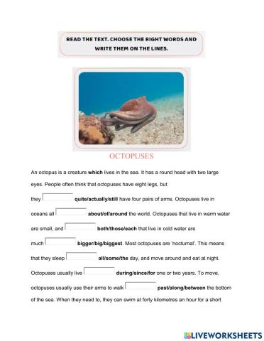 Flyers - Challenge 50 - Reading