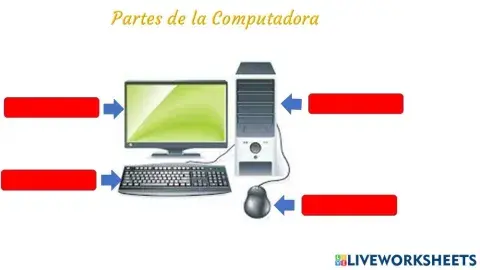 Partes de la Computadora