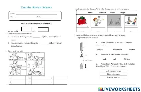 Exercise Review FORCE