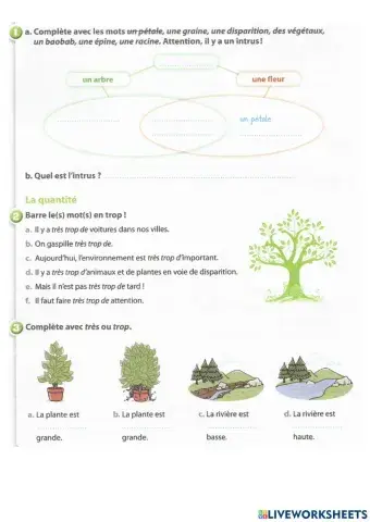 Module 3 leçon 3 p2 devoir
