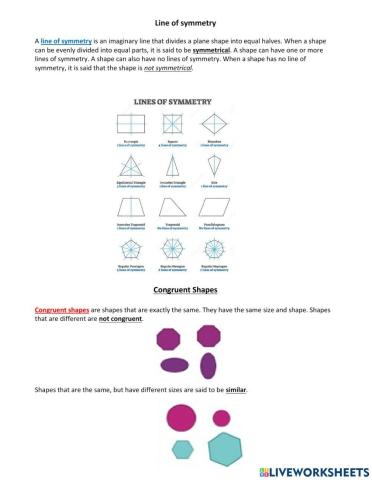 Line of symmetry and Congruent Figures Notes