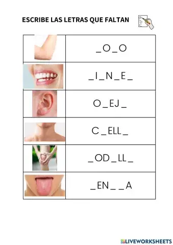 Completa las palabras 3