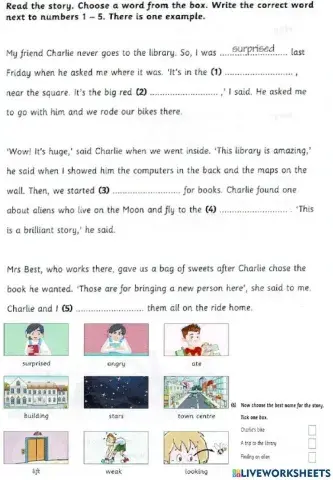 Movers reading part 3