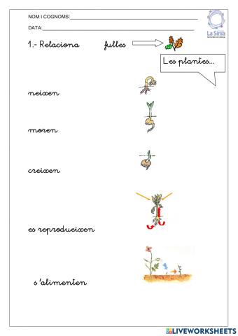 Les plantes