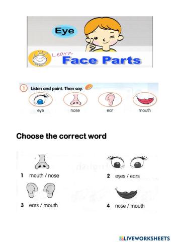 Face (Fly High 1 - Unit 11)