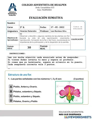 Evaluación Ciencias Naturales
