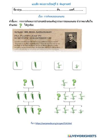 การค้นพบของเมนเดล1