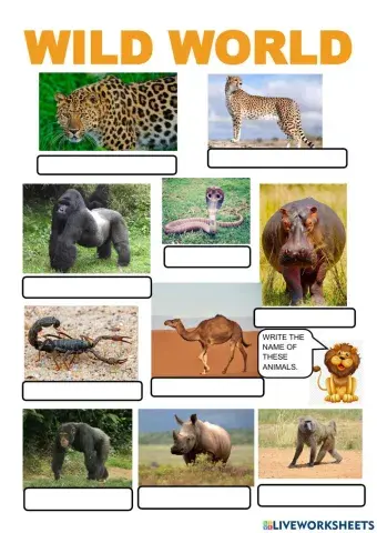 Wild animals