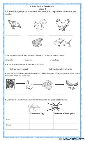 Science Review 1 grade 4