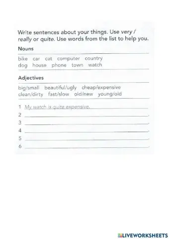 EF Elementary Grammar & Vocabulary Homework Unit2C