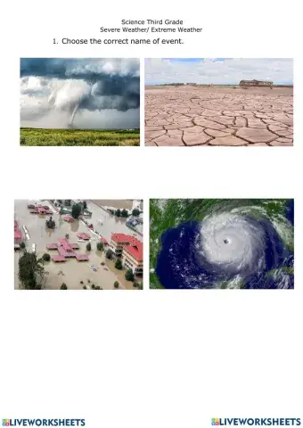 Natural Disasters