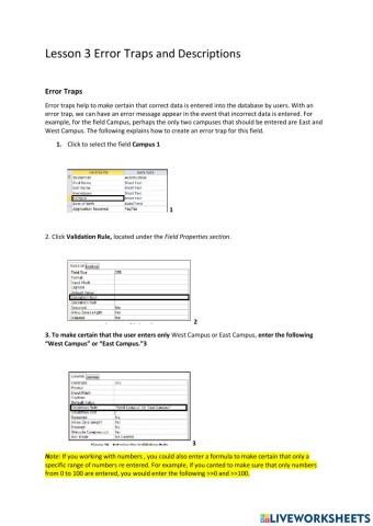 Lesson 3 Error Traps and Descriptions