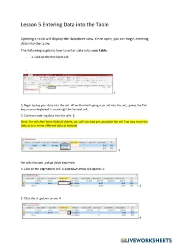 Lesson 5 Entering Data into the Table