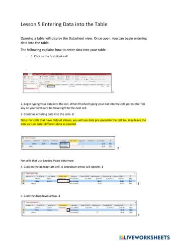Lesson 5 Entering Data into the Table