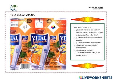 Ficha 6