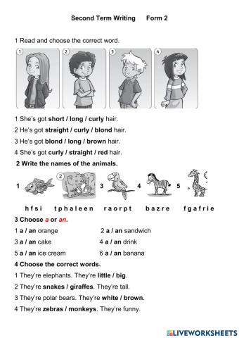 Second Term Writing (2 Form)