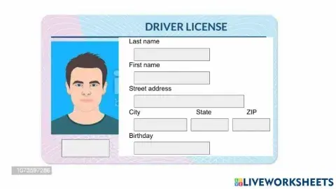 Drivers License - Man