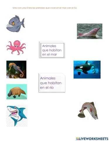 Animales de río