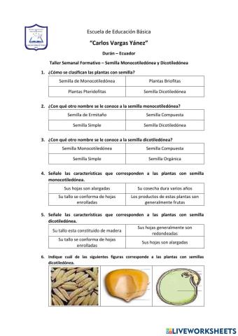 Taller de Semillas Monocotiledóneas y Dicotiledóneas