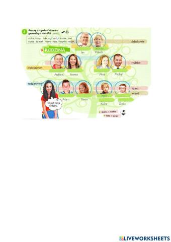 Drzewo genealogiczne