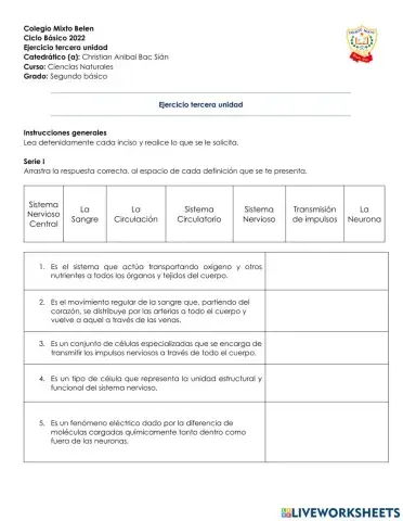 Sistema circulatorio y sistema nervioso