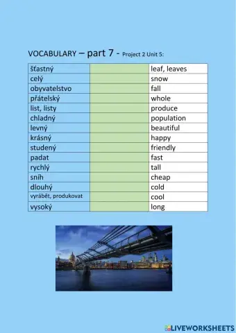 ANG 6 PROJECT 2 UNIT 5  - vocabulary - part 7 - drag and drop