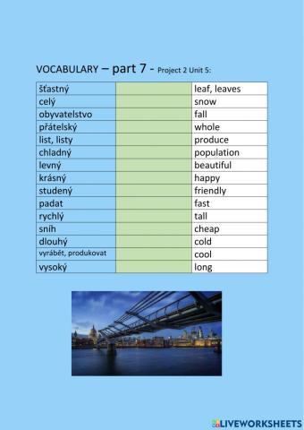 ANG 6 PROJECT 2 UNIT 5  - vocabulary - part 7 - drag and drop