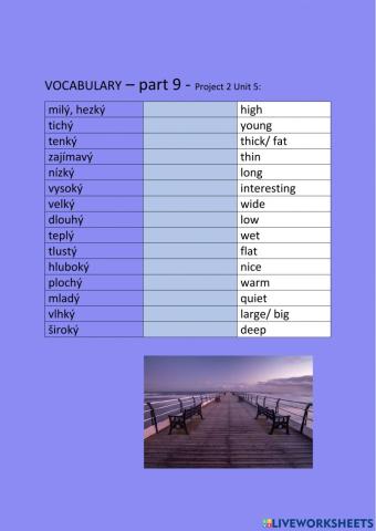 ANG 6 PROJECT 2 UNIT 5  - vocabulary - part 9 - drag and drop