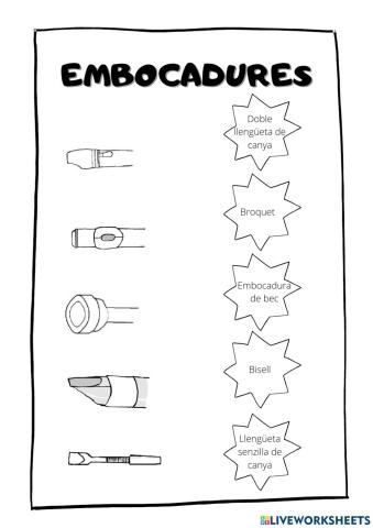 Embocadures de vent