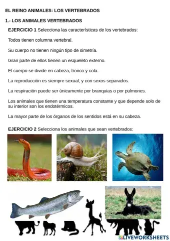 Los animales vertebrados