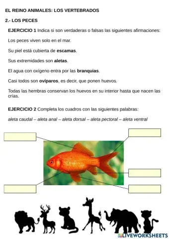 Los peces