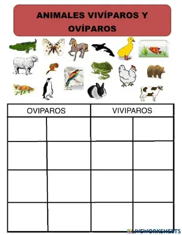 Animales Vivíparos Y Ovíparos