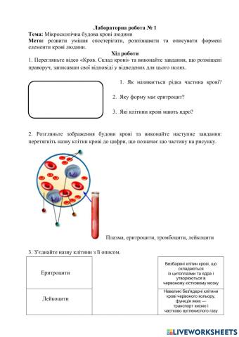 Кров, Дячук