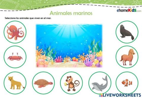 Animales marinos