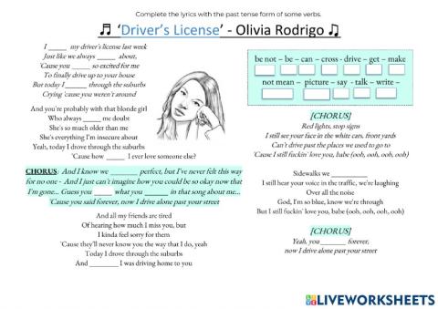 Drivers Licence song