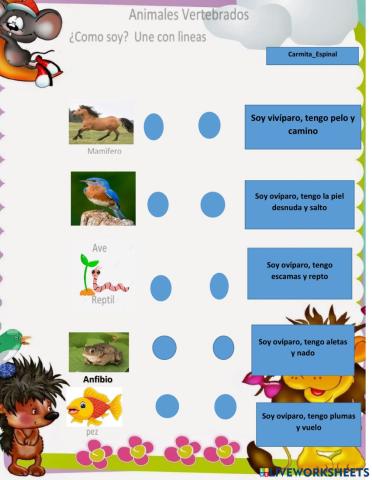 Clasificación de los animales vertebrados
