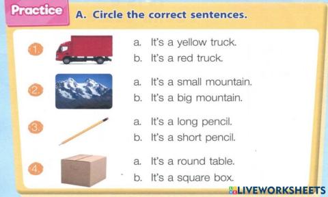 Circle the correct sentences 4
