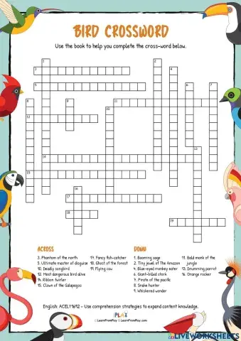 Book of Curious Birds - Bird Crossword