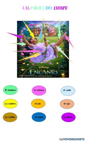 Las Partes del Cuerpo