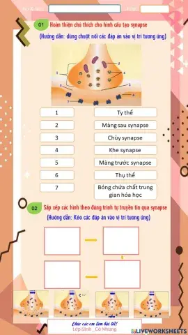 Truyền tin qua Synapse