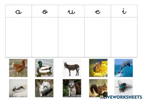 Bokalen entzumen-bereizketa
