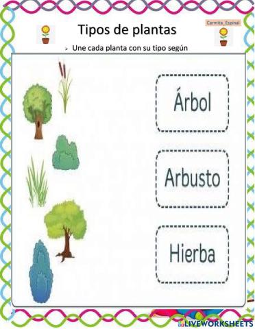 Tipos de plantas