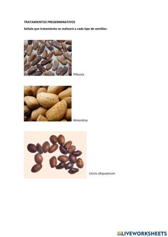 Tratamiento pregerminativos de semillas