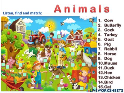 Animals