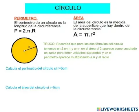 Áreas perímetros: Círculo y sector circular