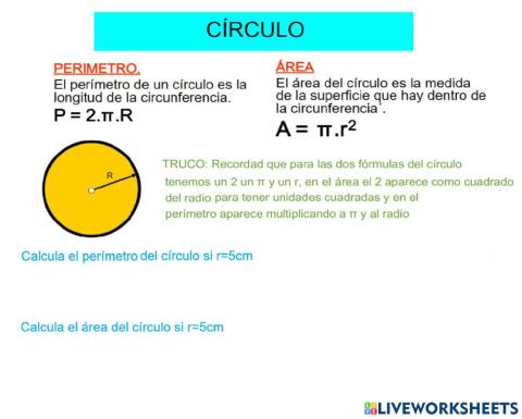 Áreas perímetros: Círculo y sector circular
