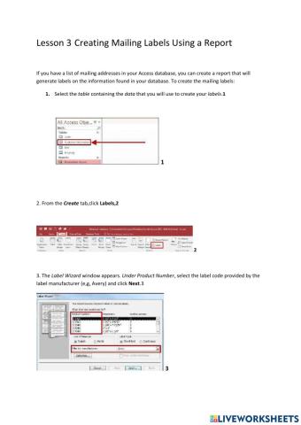 Lesson 3 Creating Mailing Labels using a Report