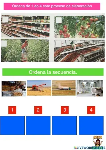 Do campo ao supermercado