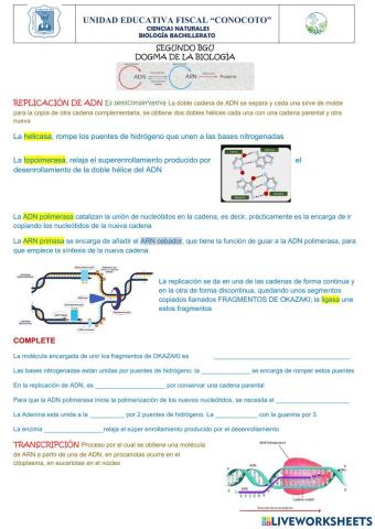 Dogma de la biología TEORÍA Y CUESTIONARIO