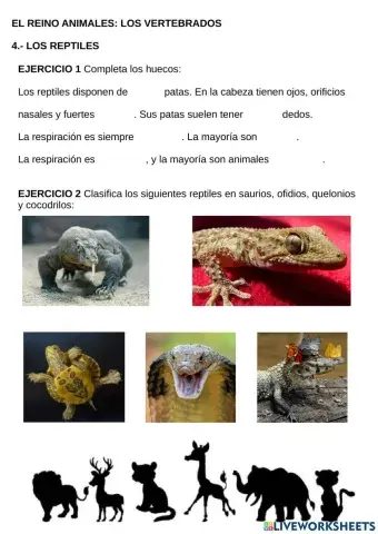 Los reptiles